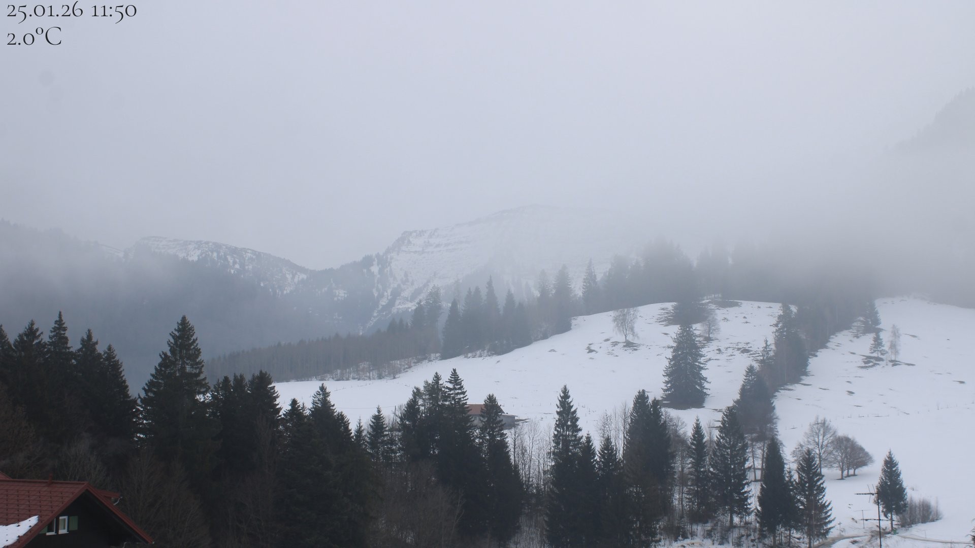 Archiv Foto Webcam Oberstaufen - Blick Hochgrat vom Biohotel Schratt