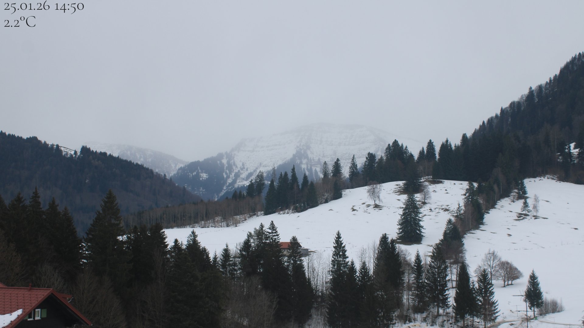 Archiv Foto Webcam Oberstaufen - Blick Hochgrat vom Biohotel Schratt