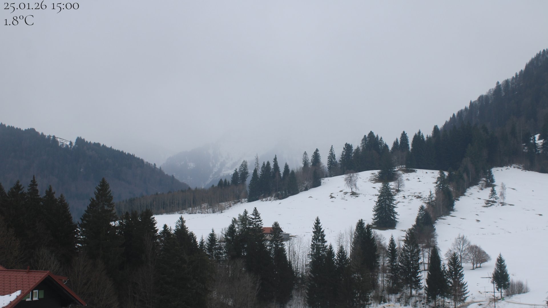 Archiv Foto Webcam Oberstaufen - Blick Hochgrat vom Biohotel Schratt