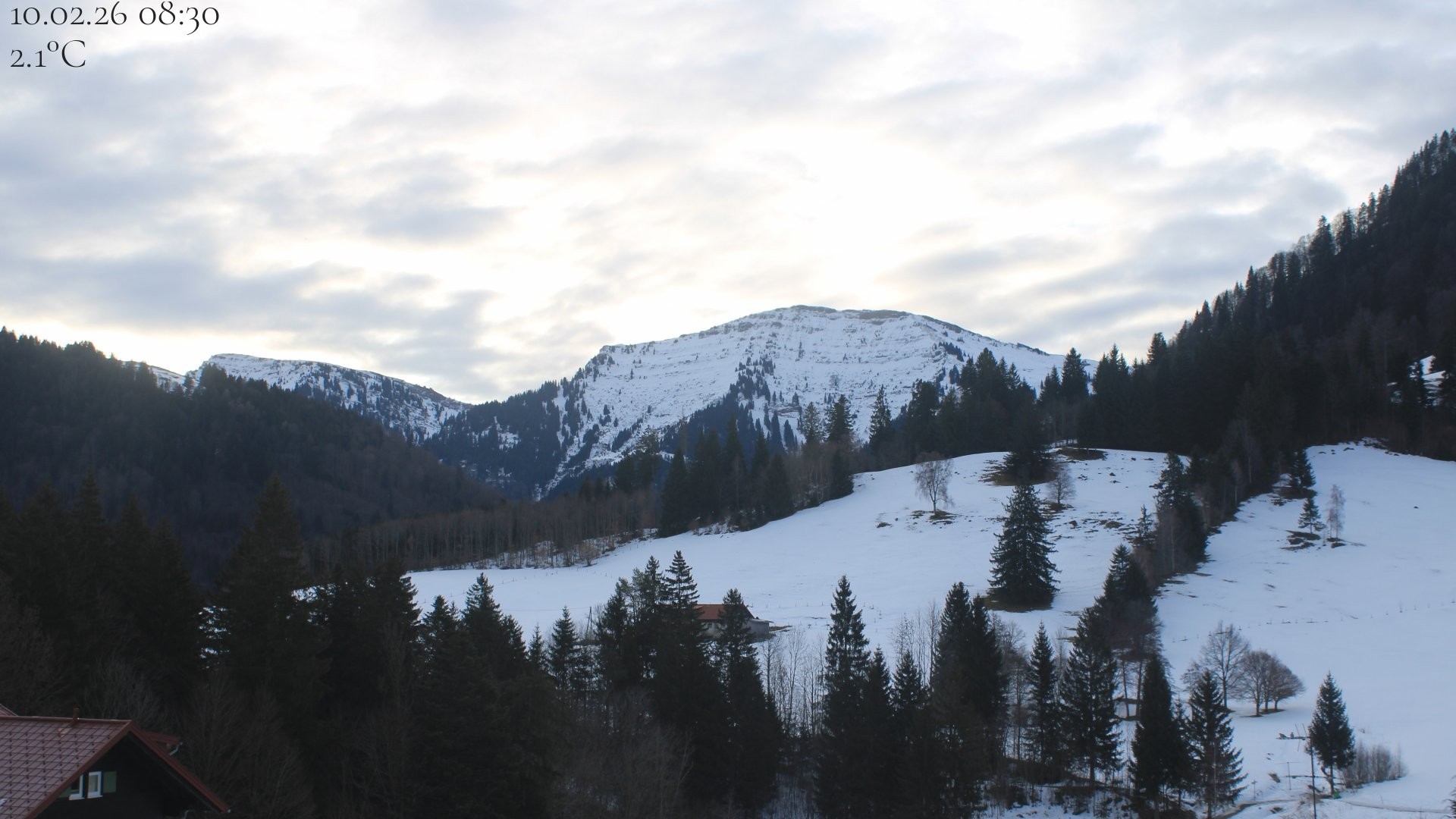 Archiv Foto Webcam Oberstaufen - Blick Hochgrat vom Biohotel Schratt