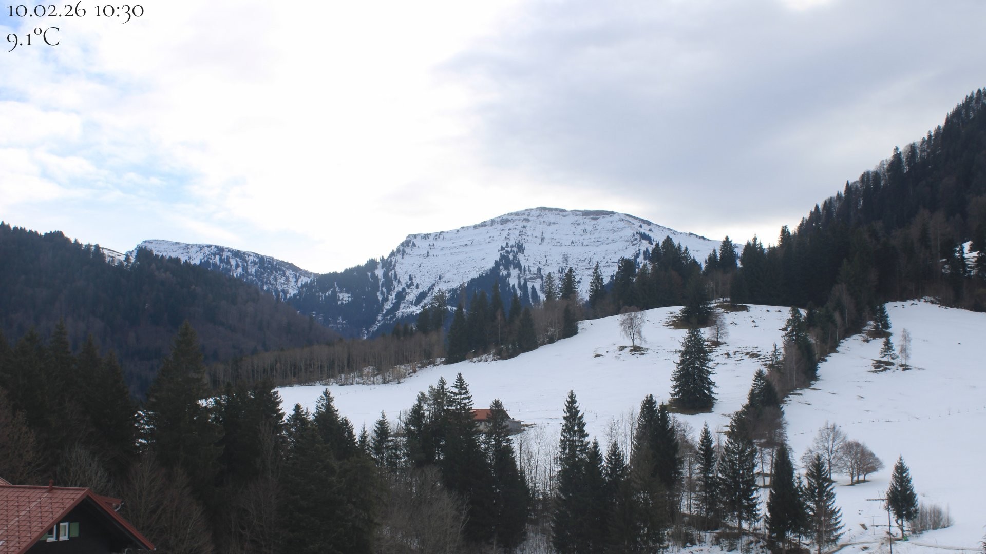 Archiv Foto Webcam Oberstaufen - Blick Hochgrat vom Biohotel Schratt