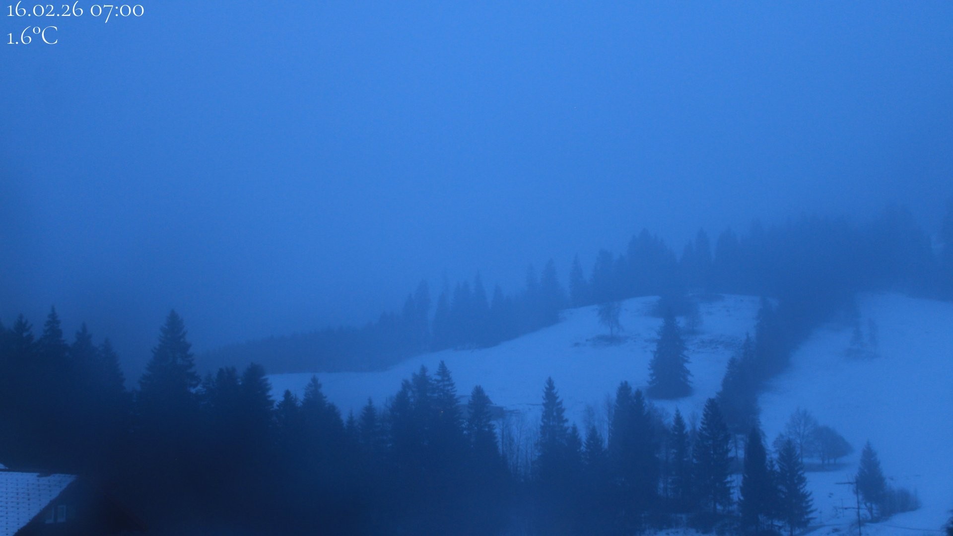 Archiv Foto Webcam Oberstaufen - Blick Hochgrat vom Biohotel Schratt