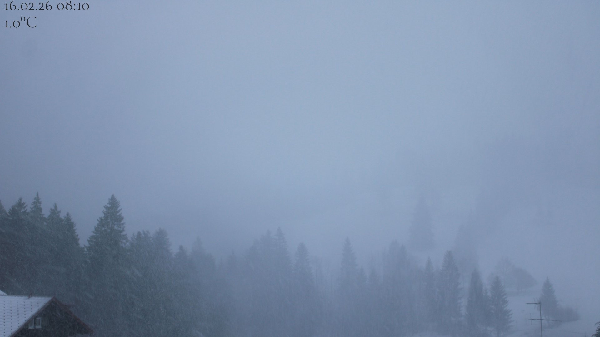 Archiv Foto Webcam Oberstaufen - Blick Hochgrat vom Biohotel Schratt