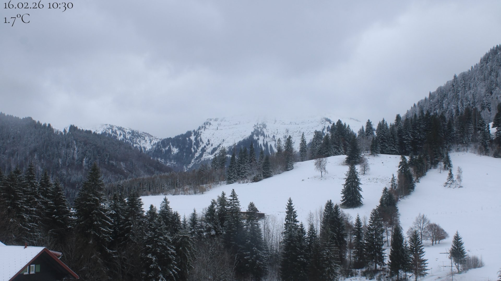 Archiv Foto Webcam Oberstaufen - Blick Hochgrat vom Biohotel Schratt