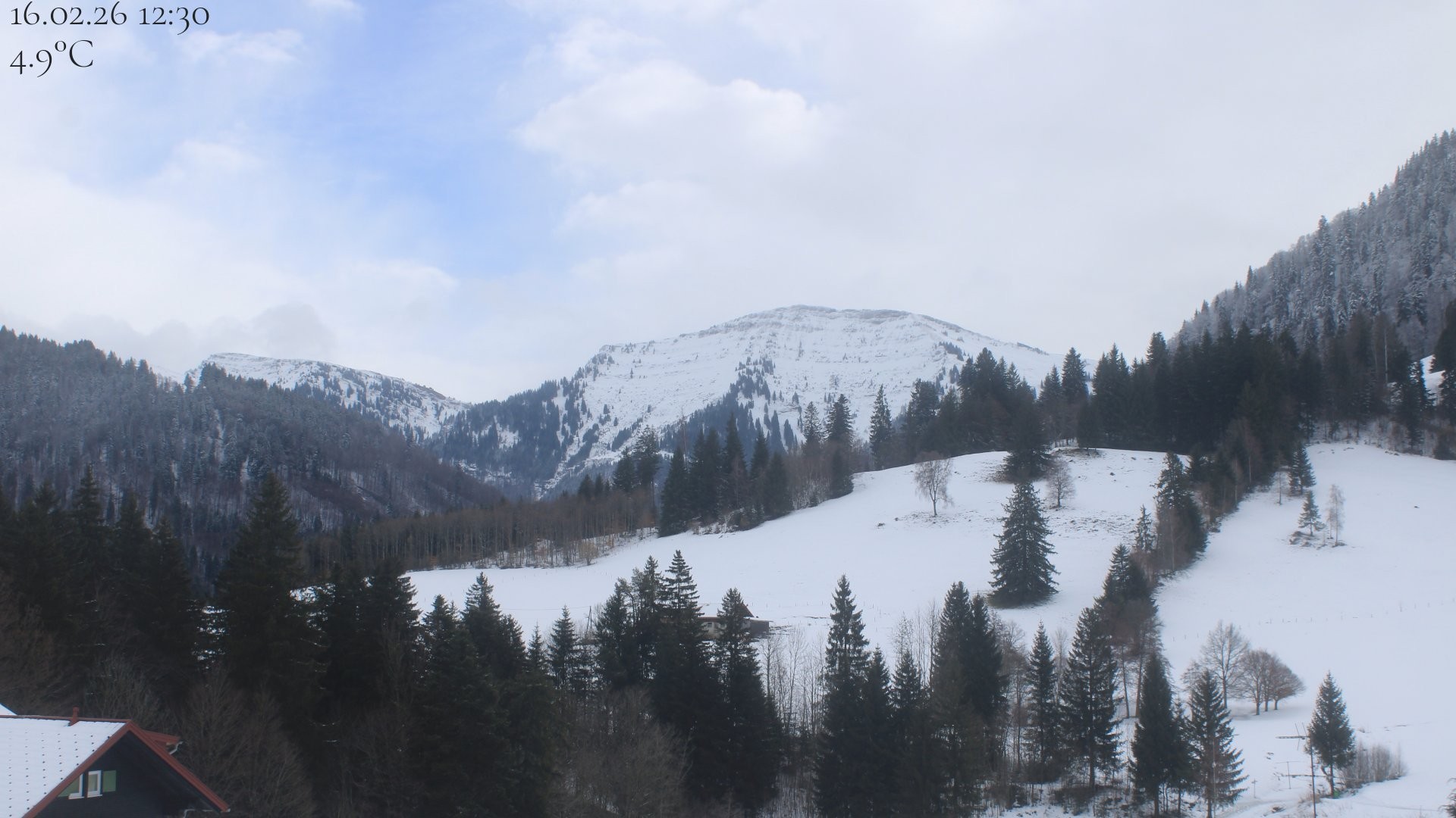 Archiv Foto Webcam Oberstaufen - Blick Hochgrat vom Biohotel Schratt