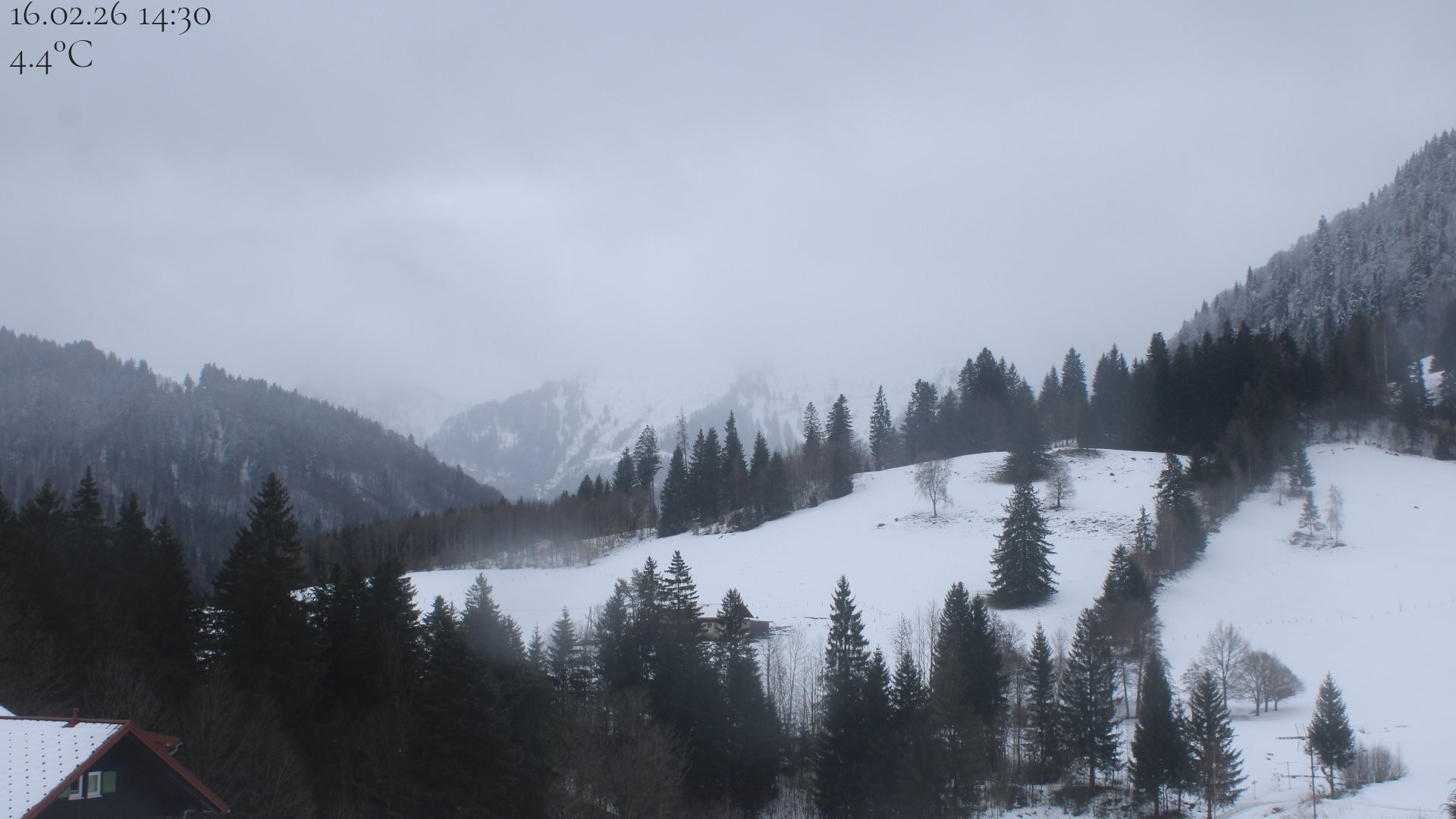 Archiv Foto Webcam Oberstaufen - Blick Hochgrat vom Biohotel Schratt