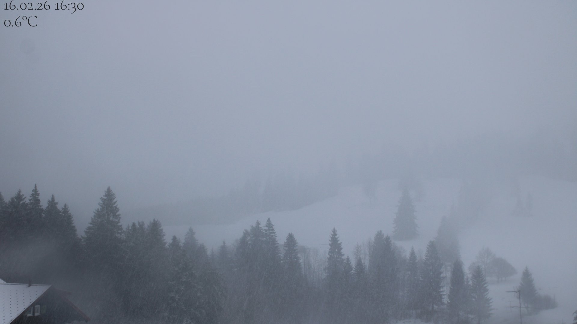 Archiv Foto Webcam Oberstaufen - Blick Hochgrat vom Biohotel Schratt