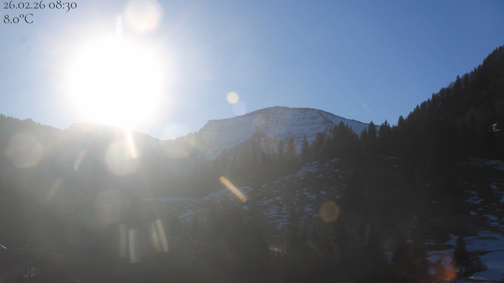 Archiv Foto Webcam Oberstaufen - Blick Hochgrat vom Biohotel Schratt