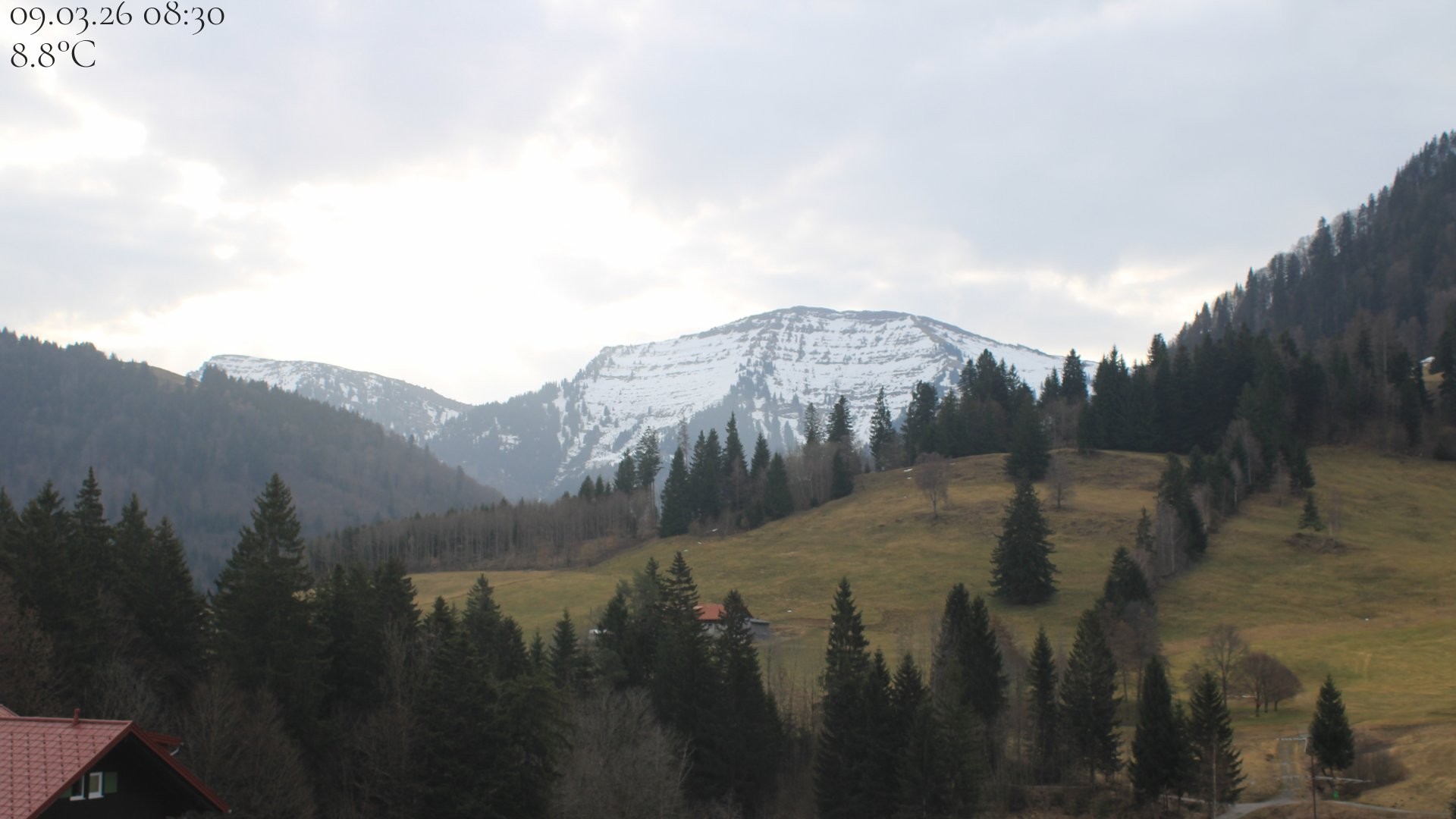 Archiv Foto Webcam Oberstaufen - Blick Hochgrat vom Biohotel Schratt