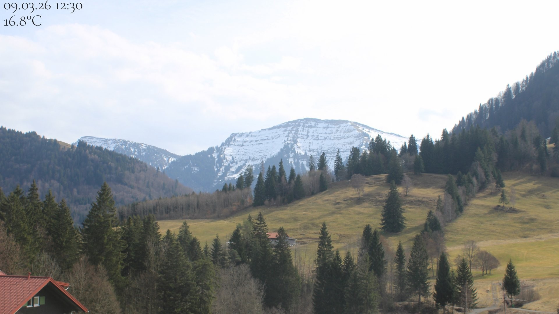 Archiv Foto Webcam Oberstaufen - Blick Hochgrat vom Biohotel Schratt