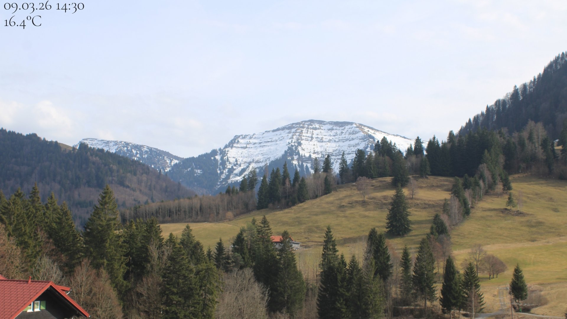 Archiv Foto Webcam Oberstaufen - Blick Hochgrat vom Biohotel Schratt