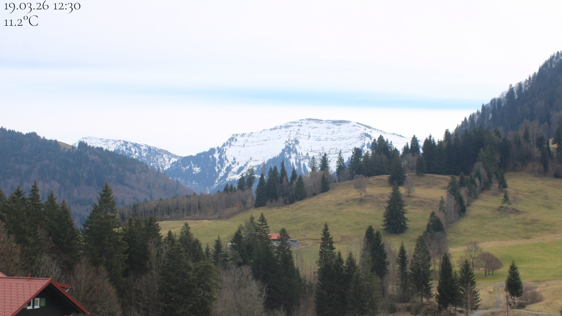 Archiv Foto Webcam Oberstaufen - Blick Hochgrat vom Biohotel Schratt