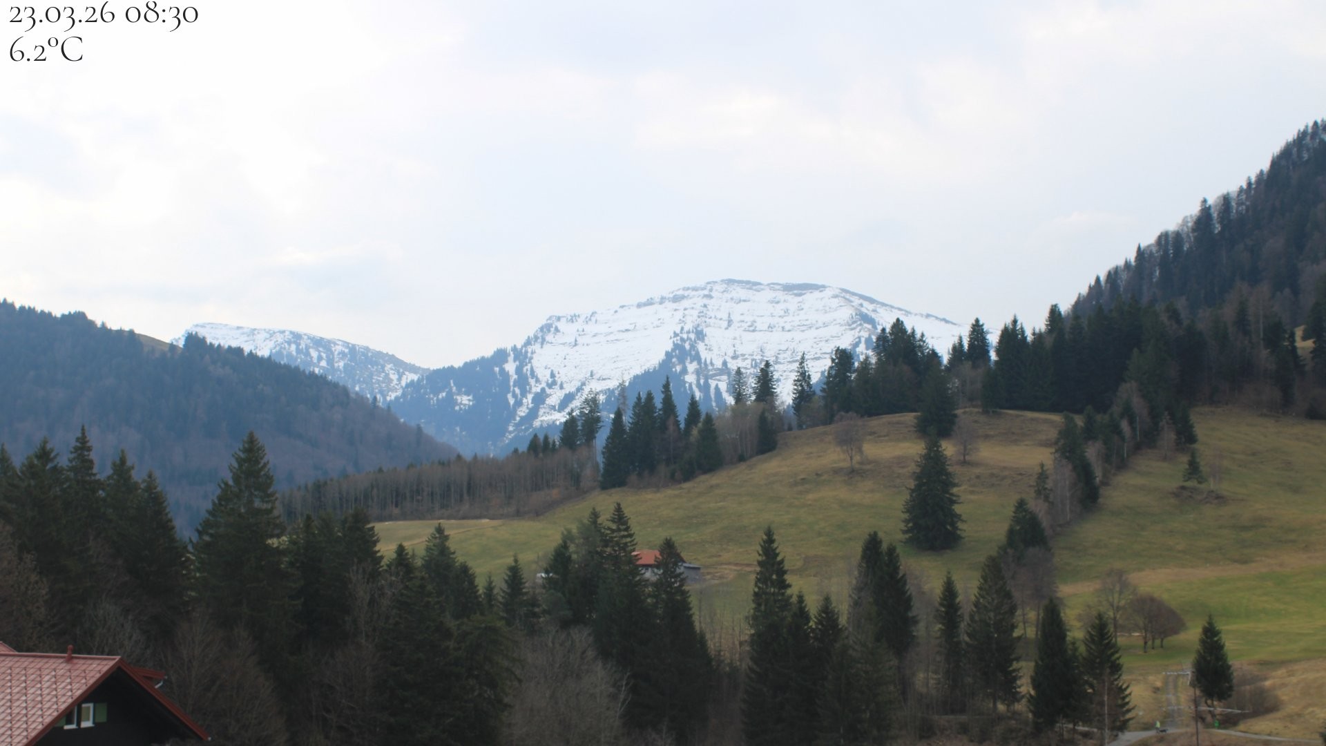 Archiv Foto Webcam Oberstaufen - Blick Hochgrat vom Biohotel Schratt