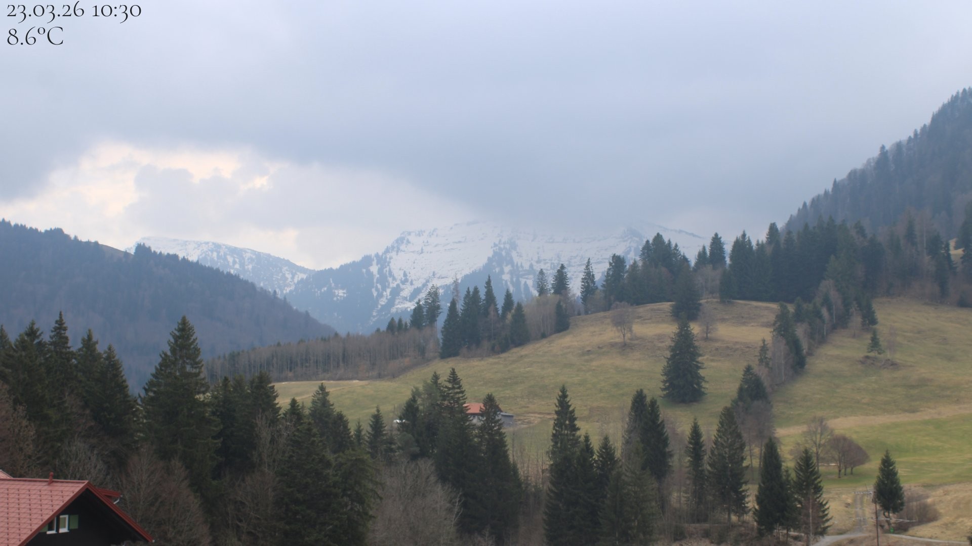 Archiv Foto Webcam Oberstaufen - Blick Hochgrat vom Biohotel Schratt