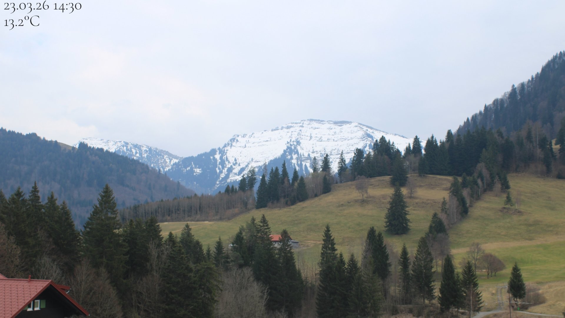 Archiv Foto Webcam Oberstaufen - Blick Hochgrat vom Biohotel Schratt