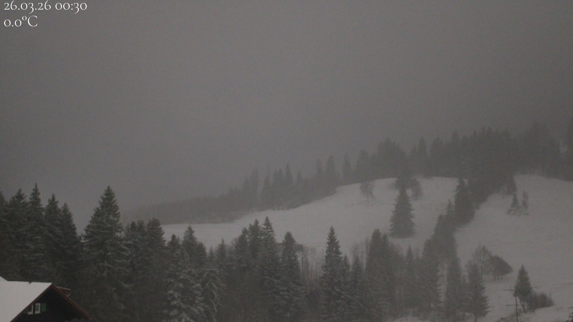 Archiv Foto Webcam Oberstaufen - Blick Hochgrat vom Biohotel Schratt