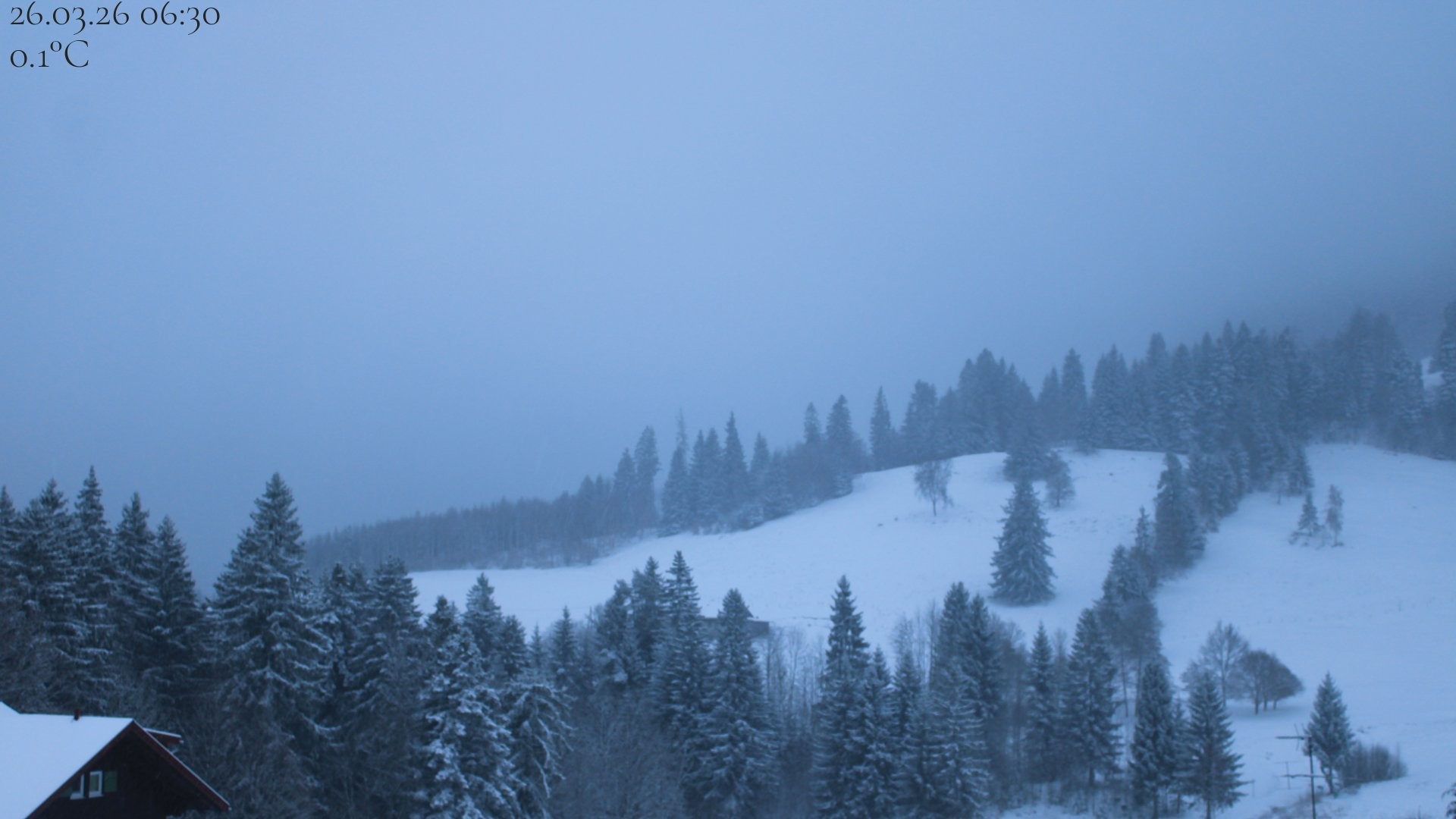 Archiv Foto Webcam Oberstaufen - Blick Hochgrat vom Biohotel Schratt