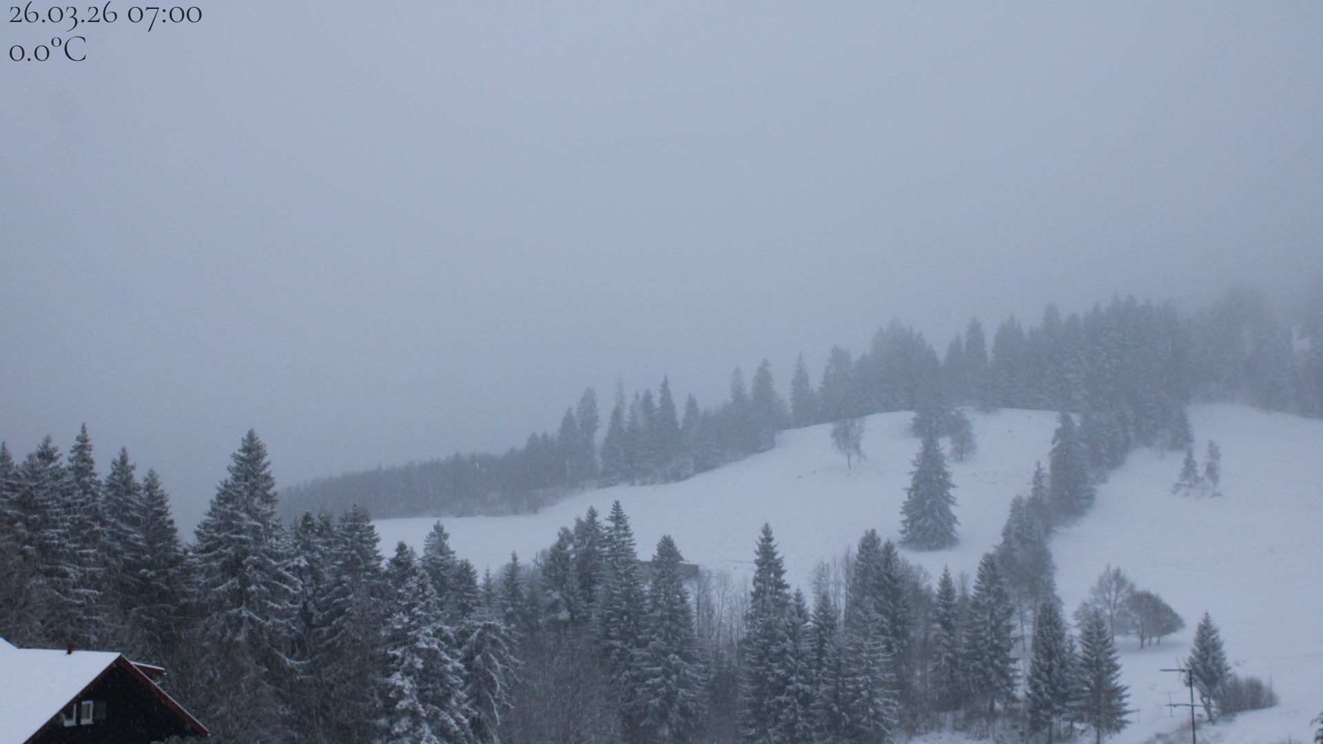 Archiv Foto Webcam Oberstaufen - Blick Hochgrat vom Biohotel Schratt