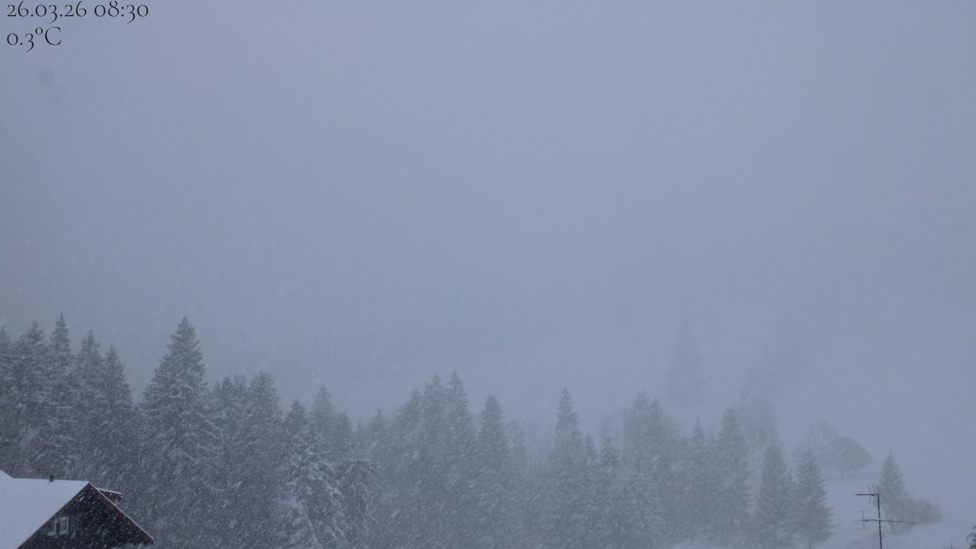 Archiv Foto Webcam Oberstaufen - Blick Hochgrat vom Biohotel Schratt