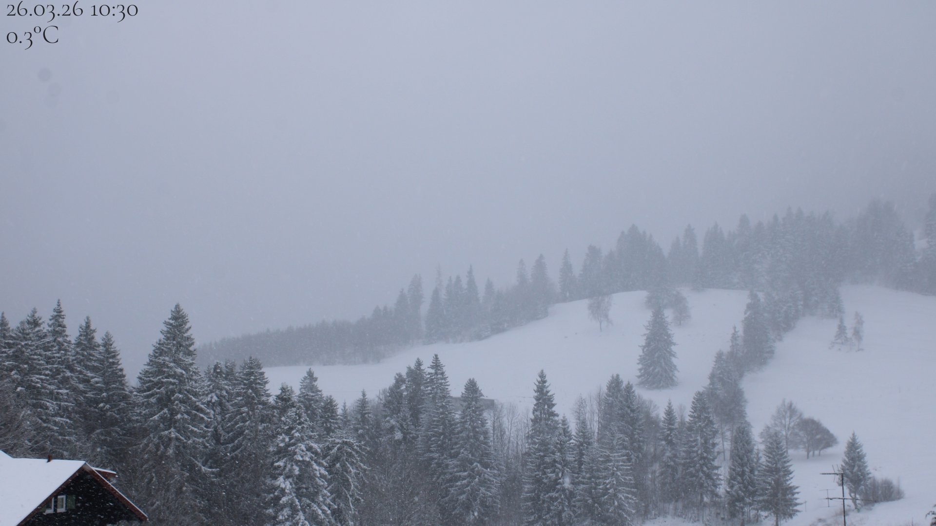 Archiv Foto Webcam Oberstaufen - Blick Hochgrat vom Biohotel Schratt