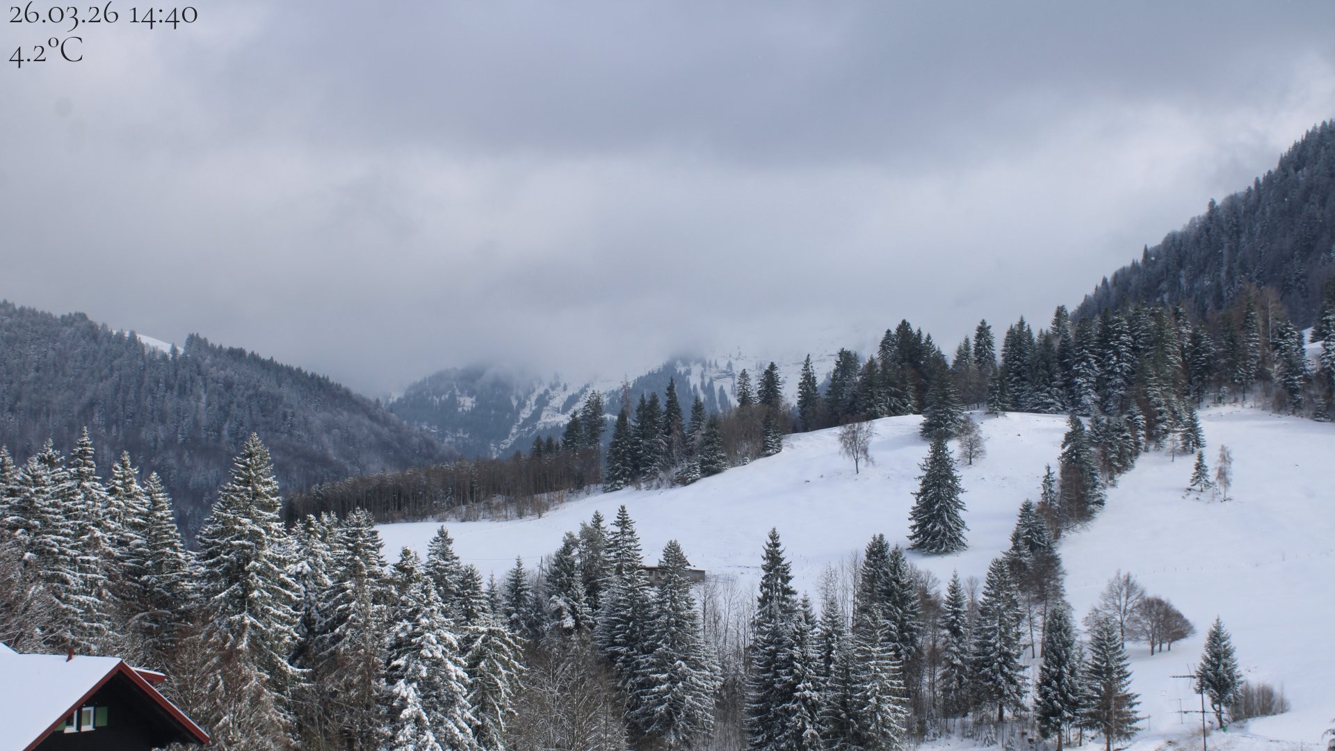 Archiv Foto Webcam Oberstaufen - Blick Hochgrat vom Biohotel Schratt