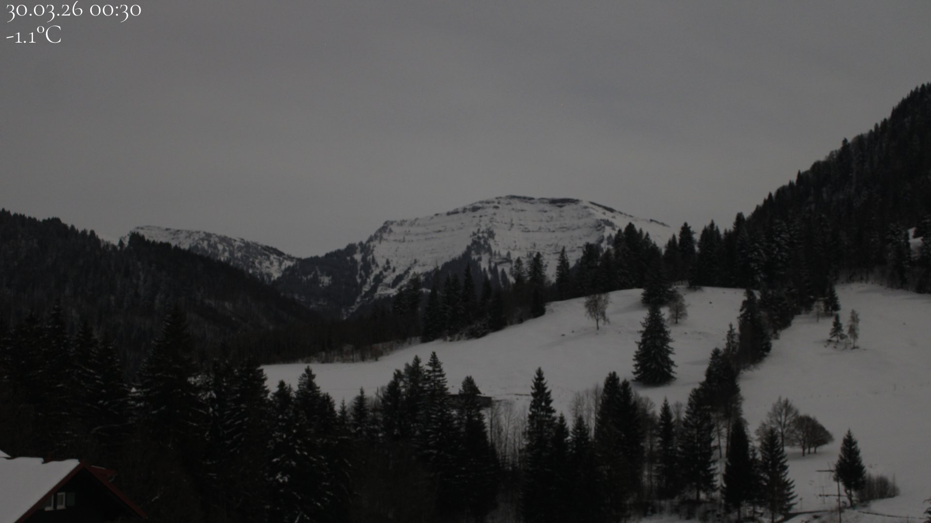 Archiv Foto Webcam Oberstaufen - Blick Hochgrat vom Biohotel Schratt