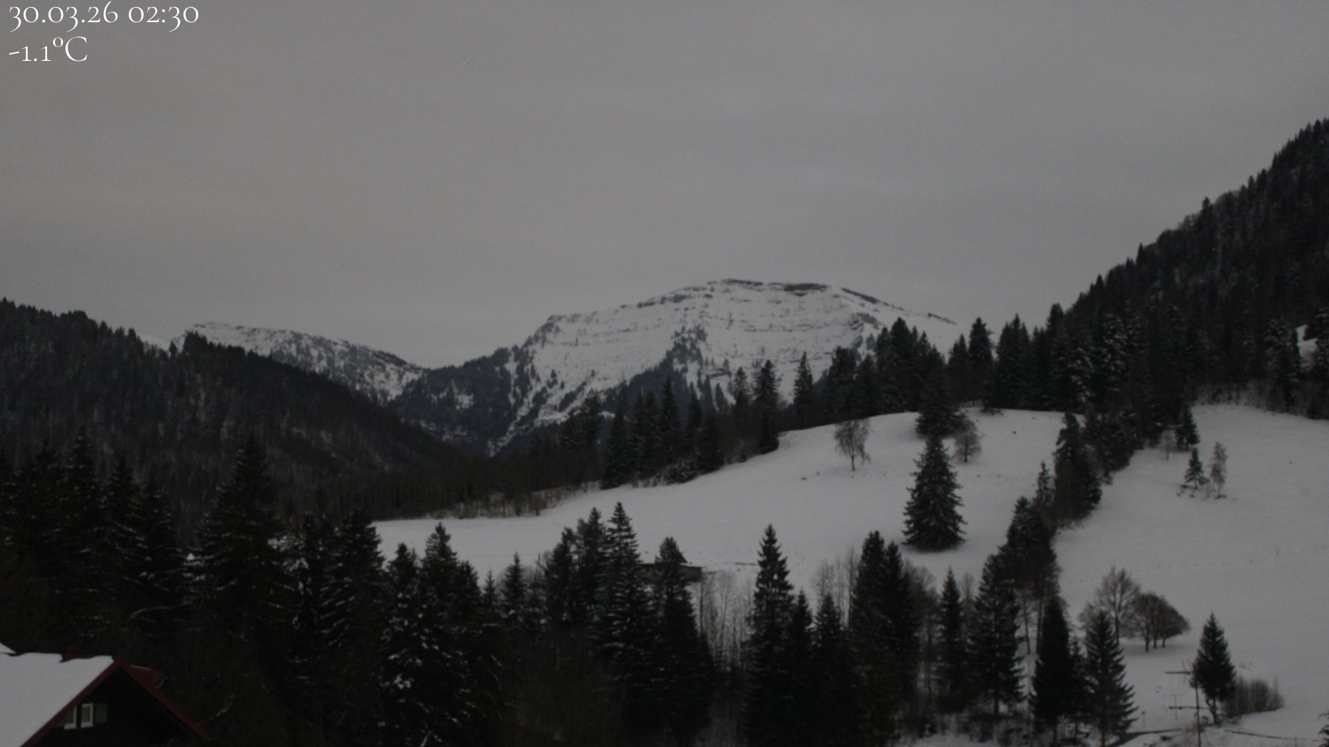 Archiv Foto Webcam Oberstaufen - Blick Hochgrat vom Biohotel Schratt