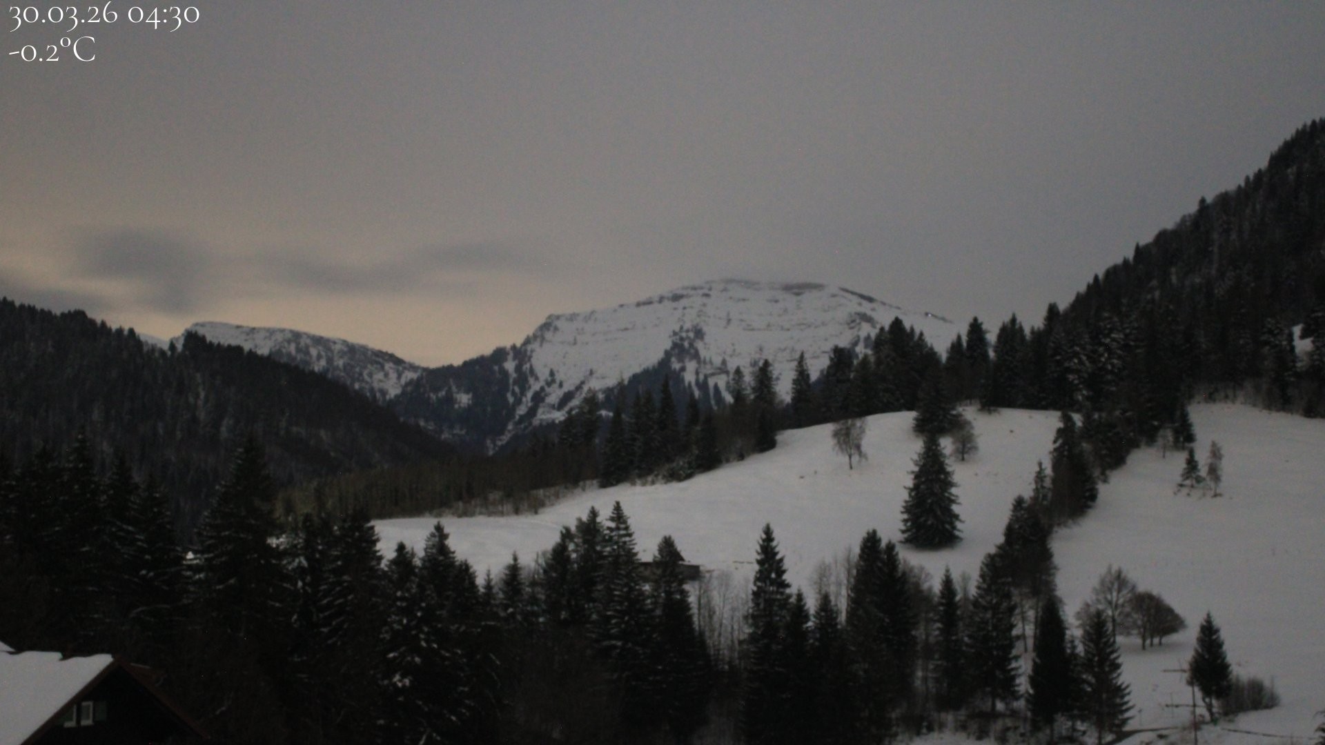 Archiv Foto Webcam Oberstaufen - Blick Hochgrat vom Biohotel Schratt