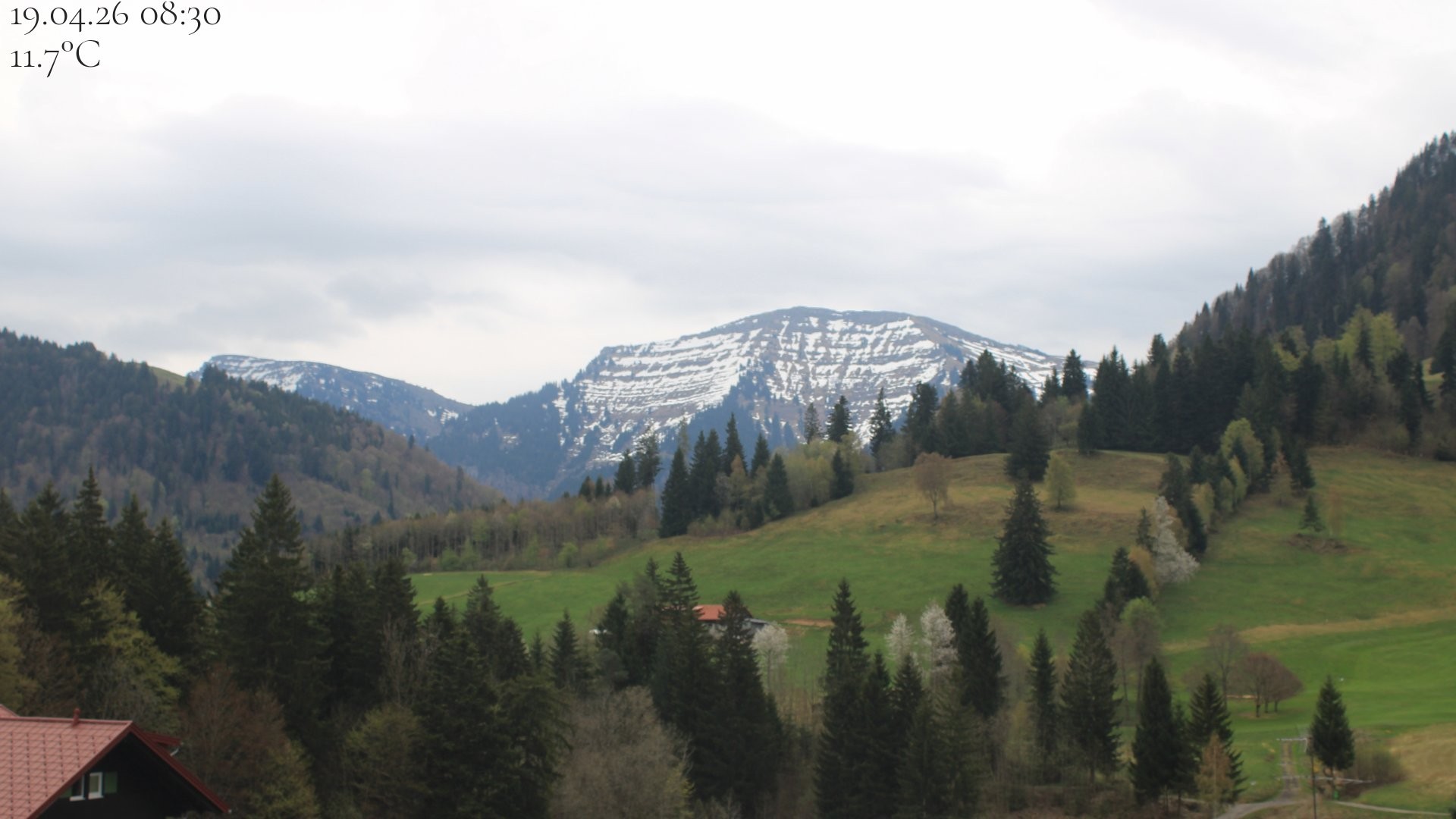 Archiv Foto Webcam Oberstaufen - Blick Hochgrat vom Biohotel Schratt