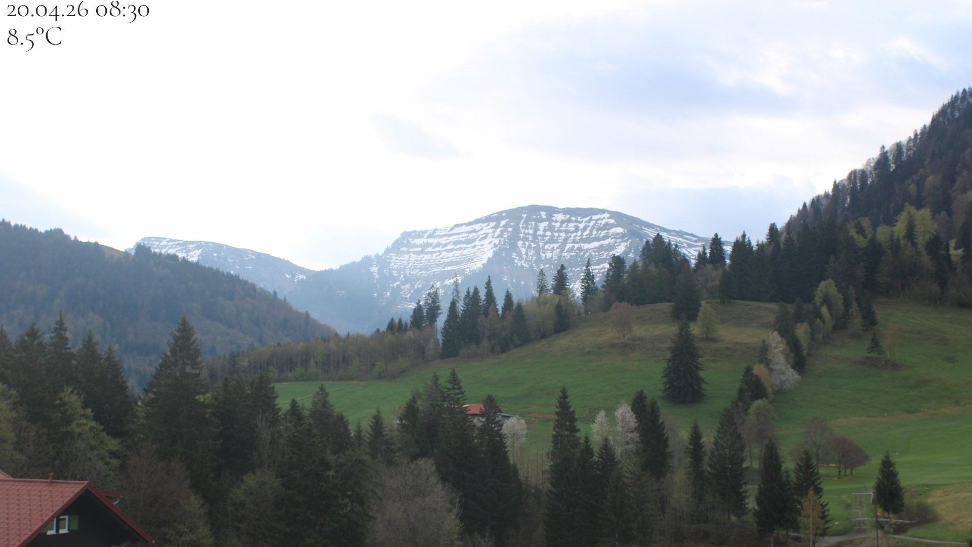 Archiv Foto Webcam Oberstaufen - Blick Hochgrat vom Biohotel Schratt