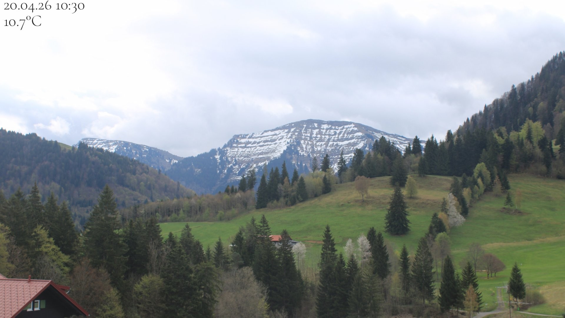 Archiv Foto Webcam Oberstaufen - Blick Hochgrat vom Biohotel Schratt