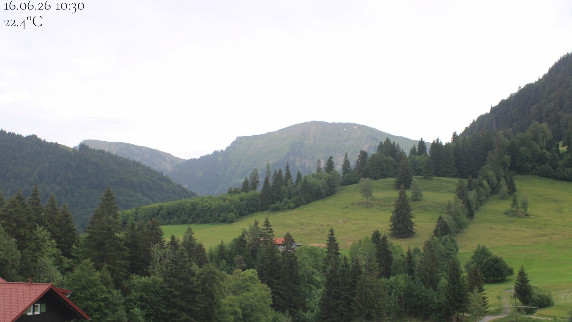 Archiv Foto Webcam Oberstaufen - Blick Hochgrat vom Biohotel Schratt