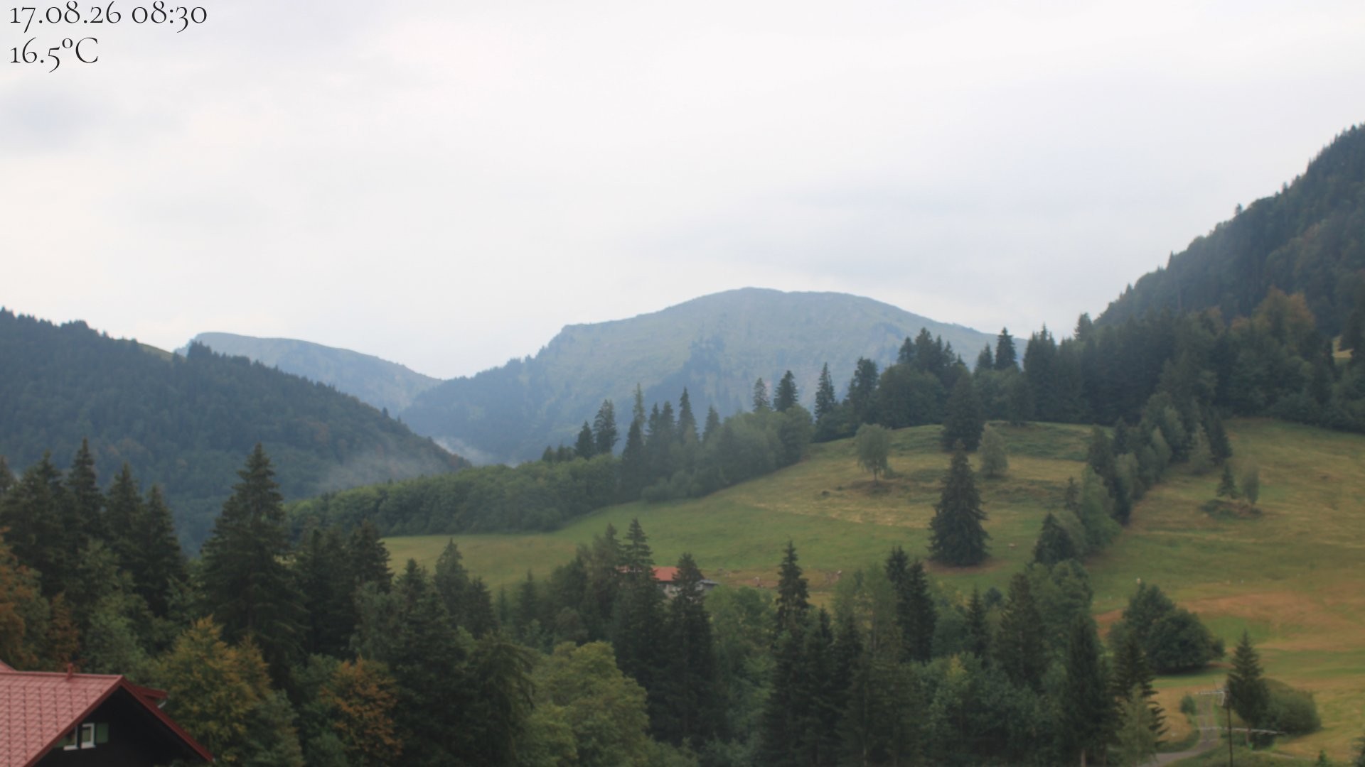 Archiv Foto Webcam Oberstaufen - Blick Hochgrat vom Biohotel Schratt