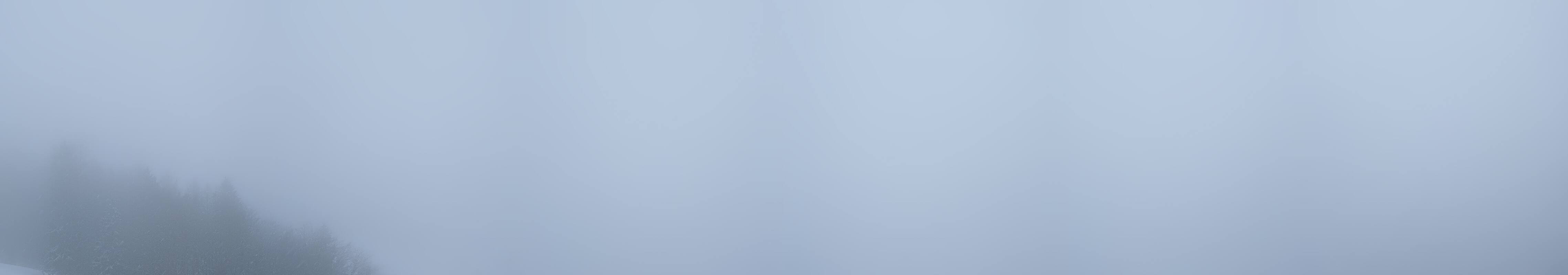 Archiv Foto Webcam St. Gilgen am Wolfgangsee Panorama