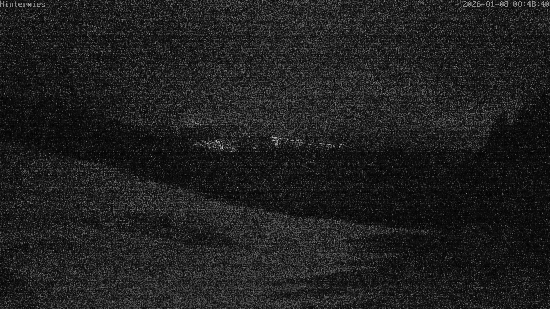 Archiv Foto Webcam Wetterstation Sankt Englmar-Hinterwies