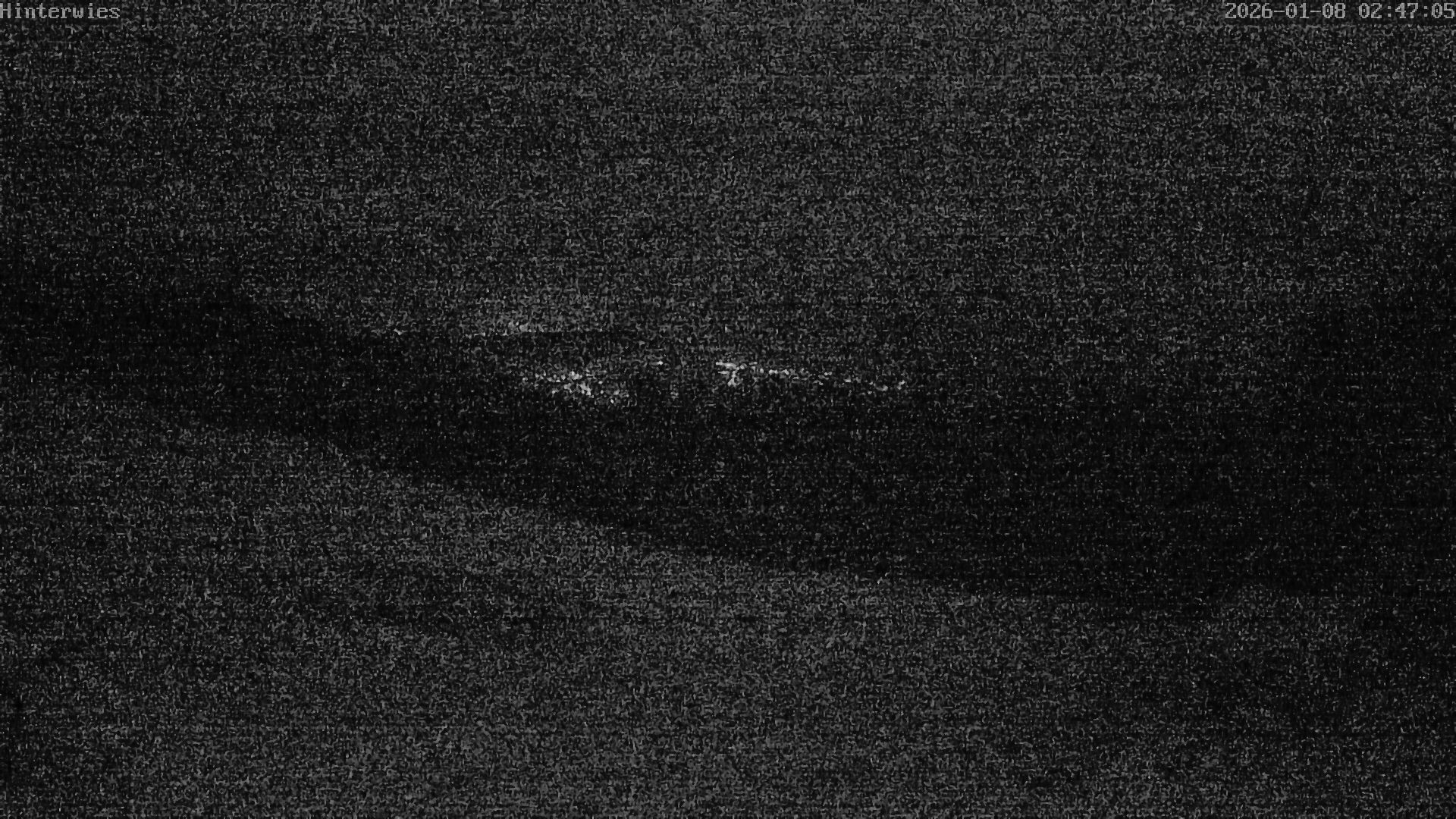 Archiv Foto Webcam Wetterstation Sankt Englmar-Hinterwies