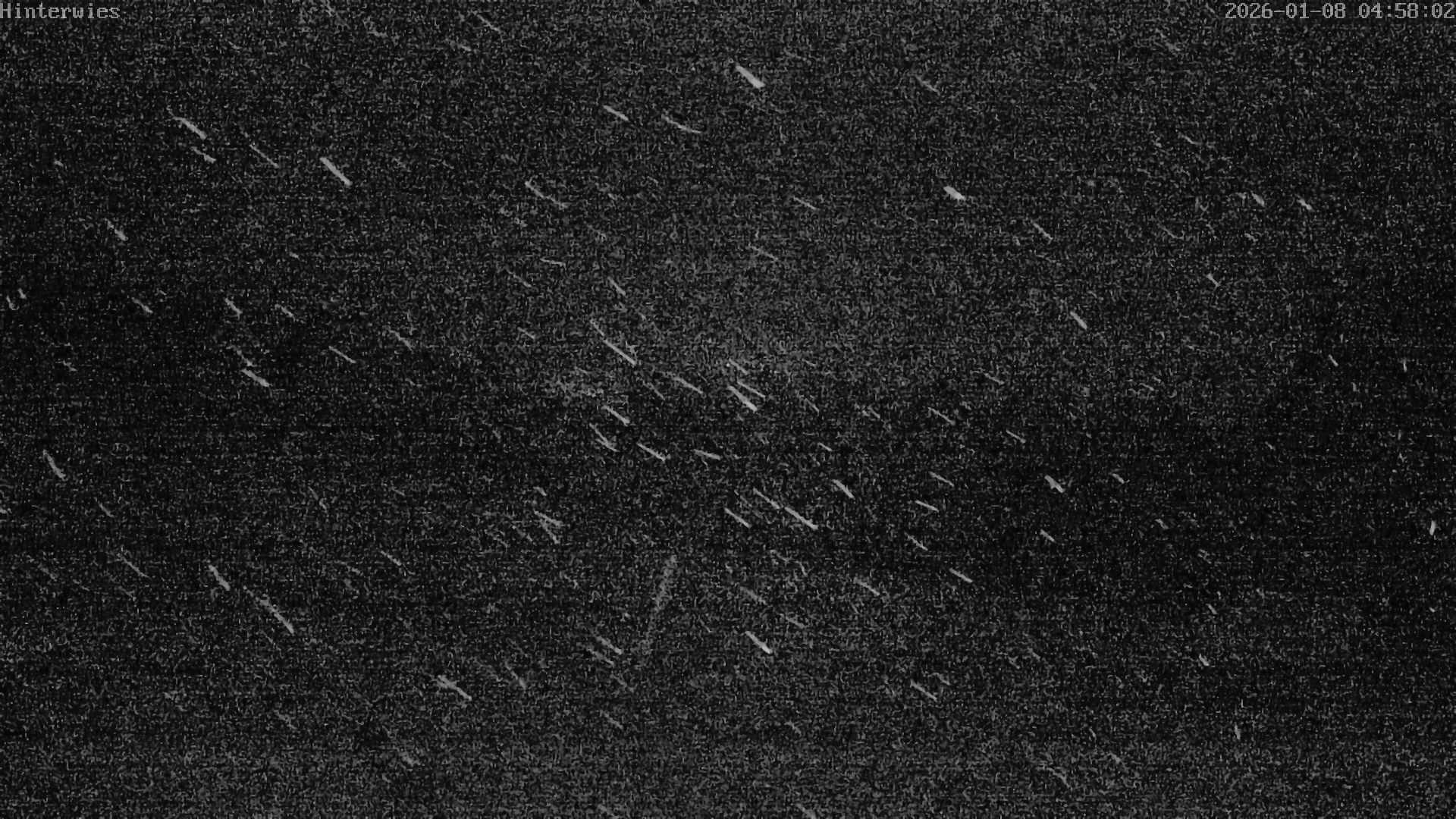 Archiv Foto Webcam Wetterstation Sankt Englmar-Hinterwies