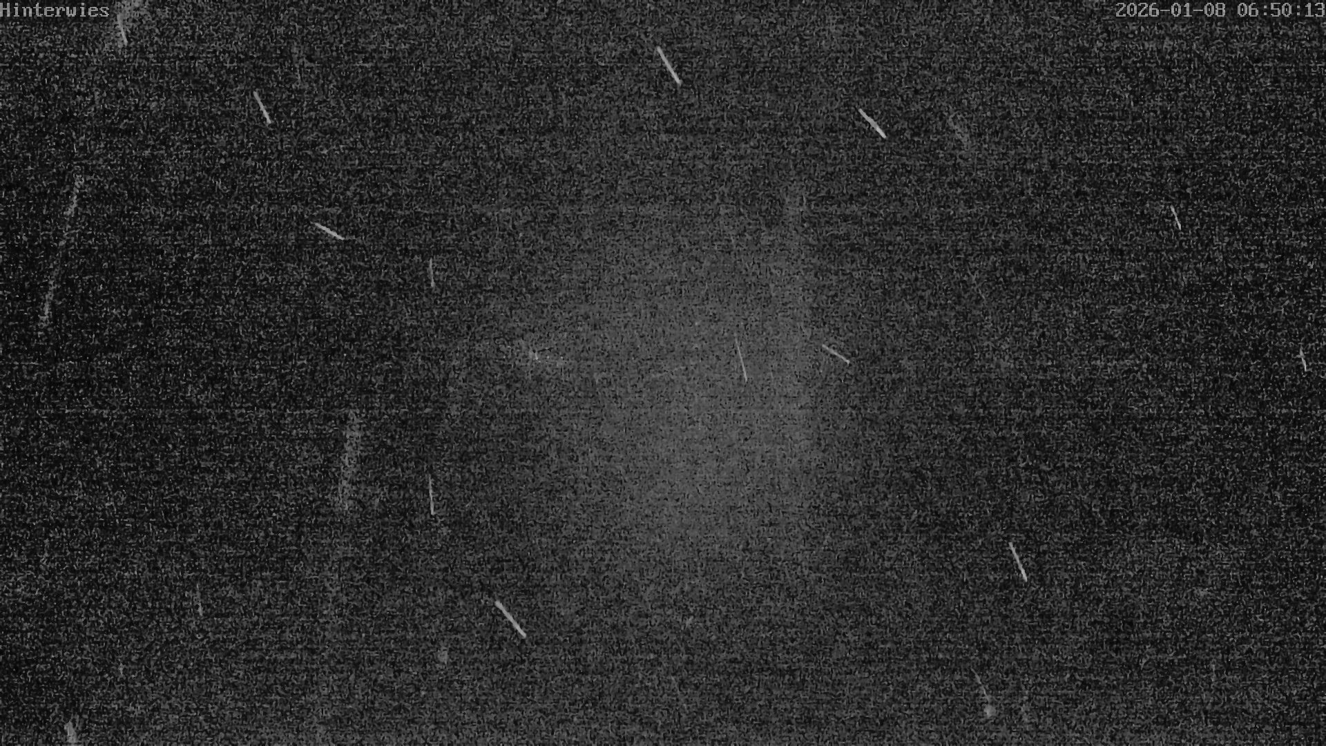 Archiv Foto Webcam Wetterstation Sankt Englmar-Hinterwies