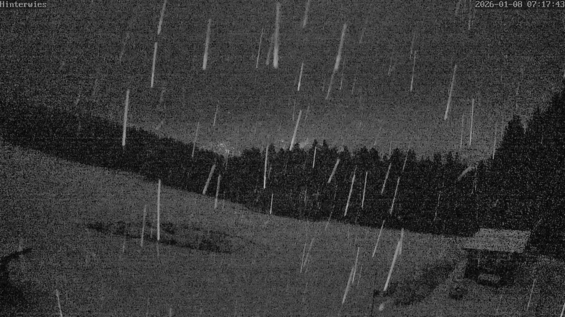 Archiv Foto Webcam Wetterstation Sankt Englmar-Hinterwies