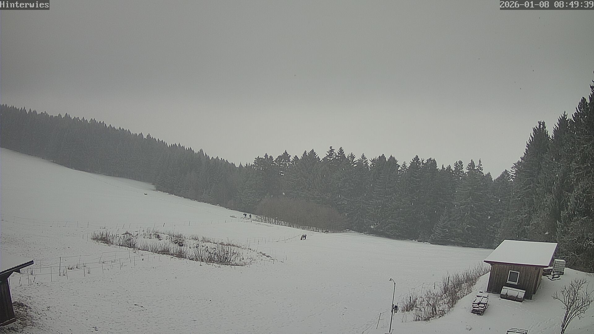 Archiv Foto Webcam Wetterstation Sankt Englmar-Hinterwies