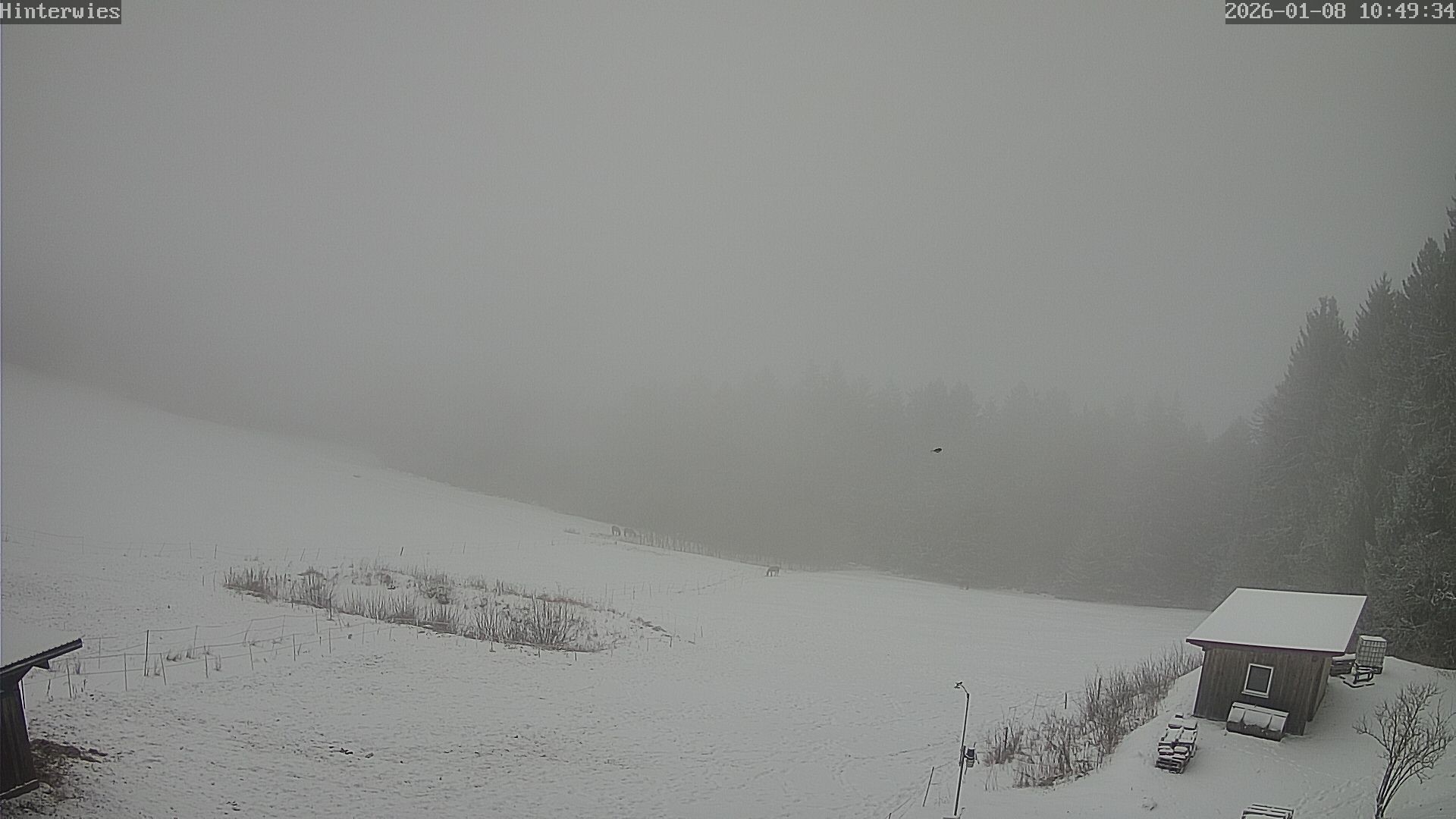 Archiv Foto Webcam Wetterstation Sankt Englmar-Hinterwies