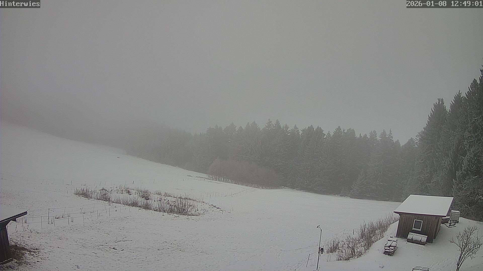 Archiv Foto Webcam Wetterstation Sankt Englmar-Hinterwies