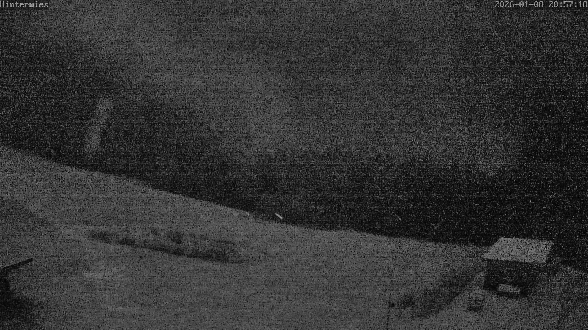 Archiv Foto Webcam Wetterstation Sankt Englmar-Hinterwies