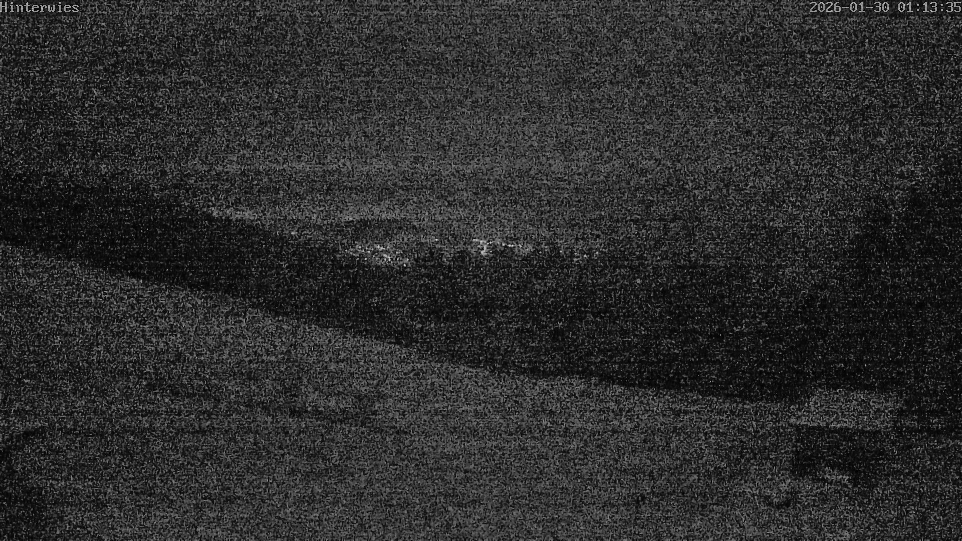 Archiv Foto Webcam Wetterstation Sankt Englmar-Hinterwies