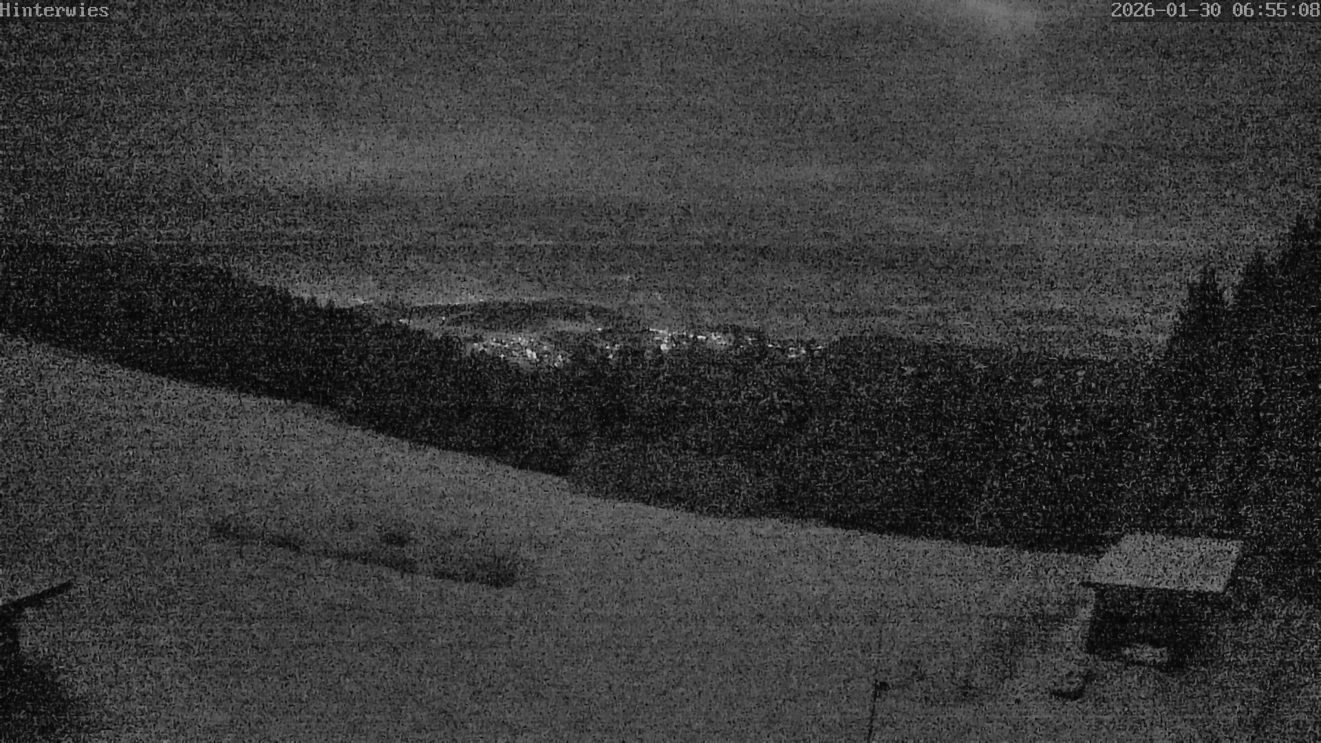 Archiv Foto Webcam Wetterstation Sankt Englmar-Hinterwies