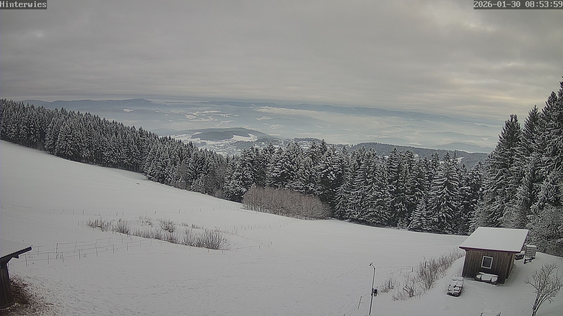 Archiv Foto Webcam Wetterstation Sankt Englmar-Hinterwies