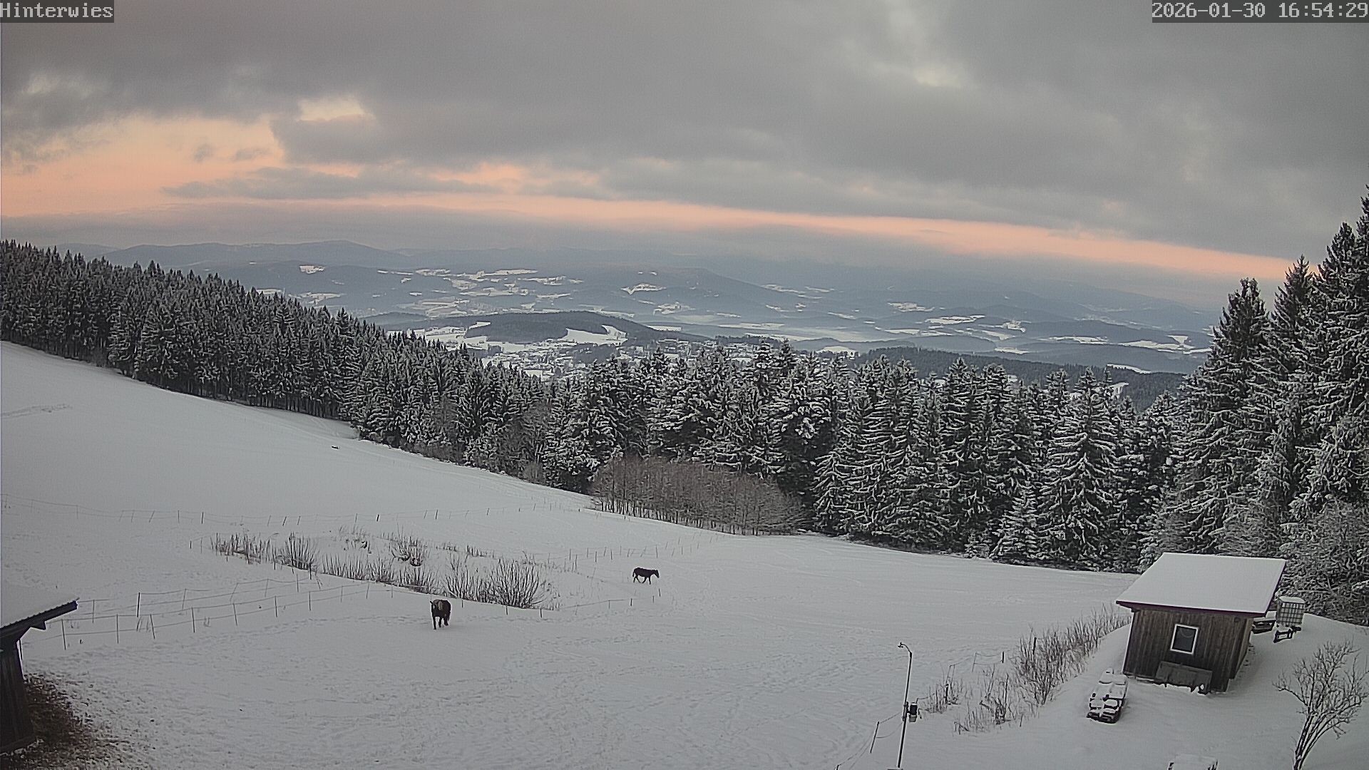Archiv Foto Webcam Wetterstation Sankt Englmar-Hinterwies