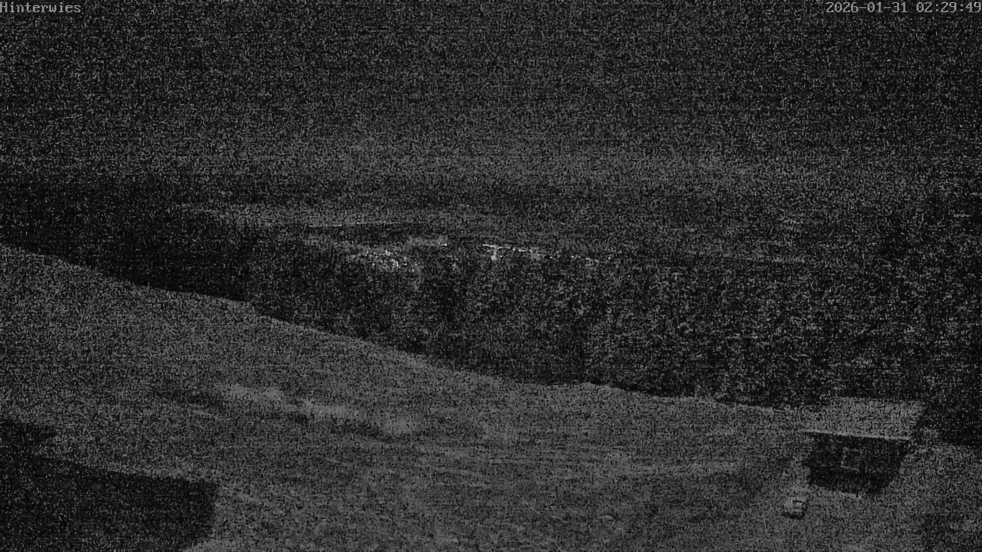 Archiv Foto Webcam Wetterstation Sankt Englmar-Hinterwies