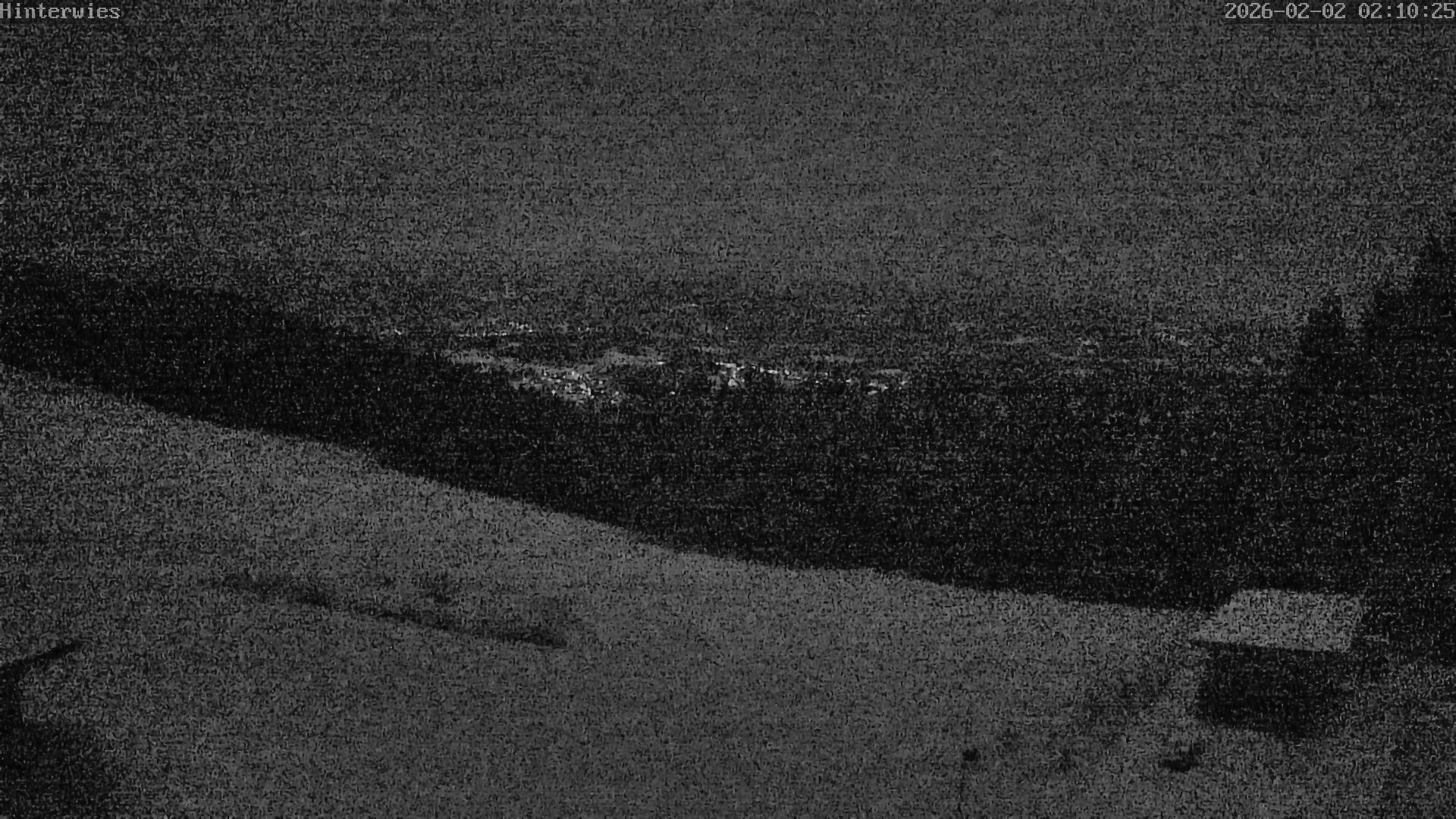 Archiv Foto Webcam Wetterstation Sankt Englmar-Hinterwies