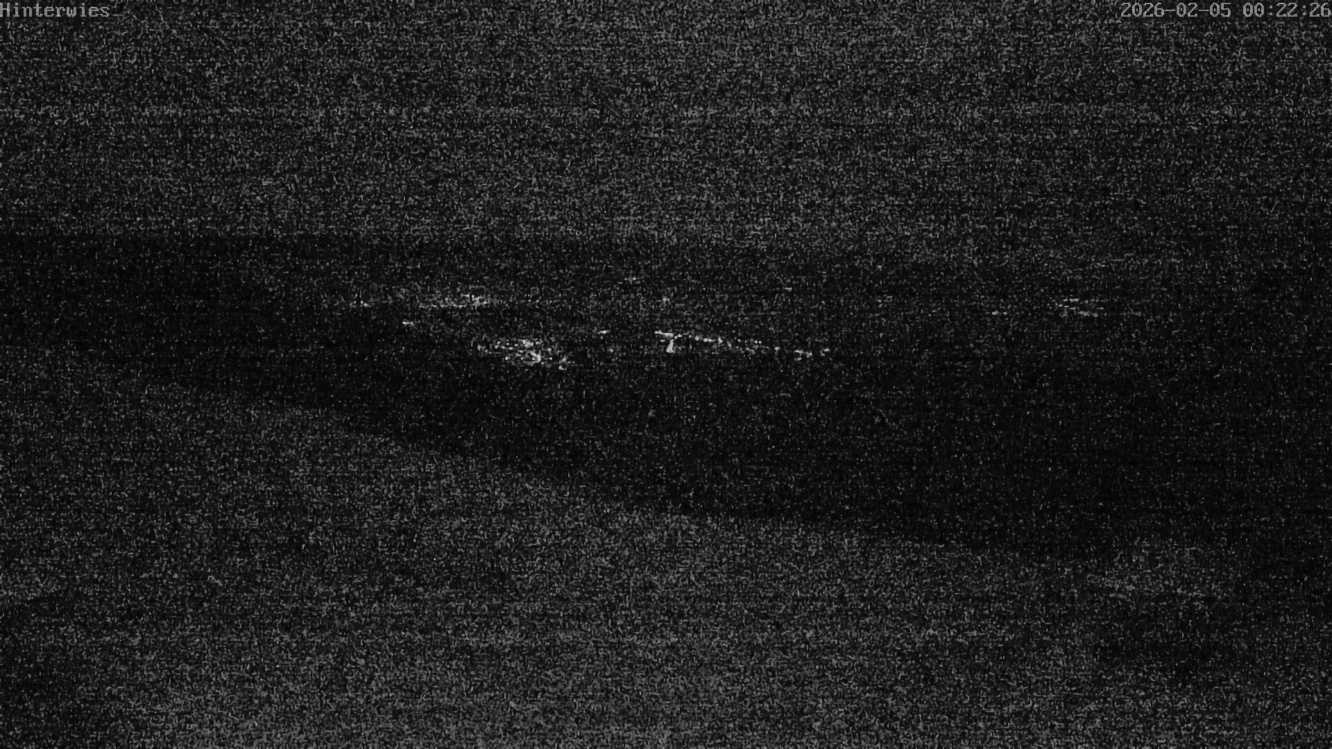 Archiv Foto Webcam Wetterstation Sankt Englmar-Hinterwies